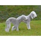 Bedlington Terrier