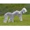 Bedlington Terrier