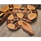 Boa Constrictor