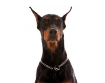 Dobermani