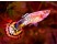 Pestele Guppy