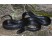 Sarpele Regal (King Snake)
