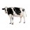 Vaca Holstein-Friza