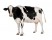 Vaca Holstein-Friza