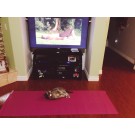 Animale care adora yoga!