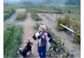 Fetita eroina salveaza o pisica