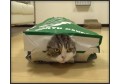 Maru implineste 6 ani!