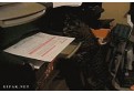 O pisica ataca hartia din imprimanta!